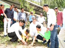 VPHEP Organizes Plantation Drive at Govt. Junior High School, Siyasain