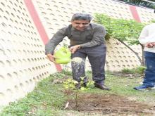 Plantation Drive and Jute Bag Distribution