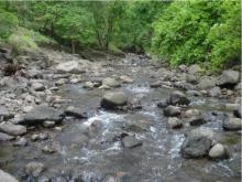 1 MALSHEJ GHAT PSS-PhotoGallery_261.jpg